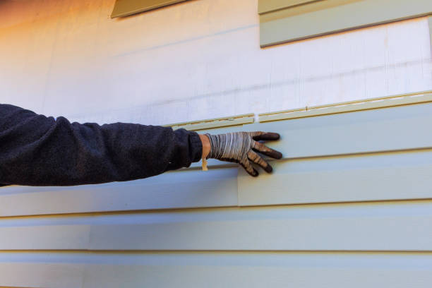 Best Fiber Cement Siding Installation  in La Riviera, CA